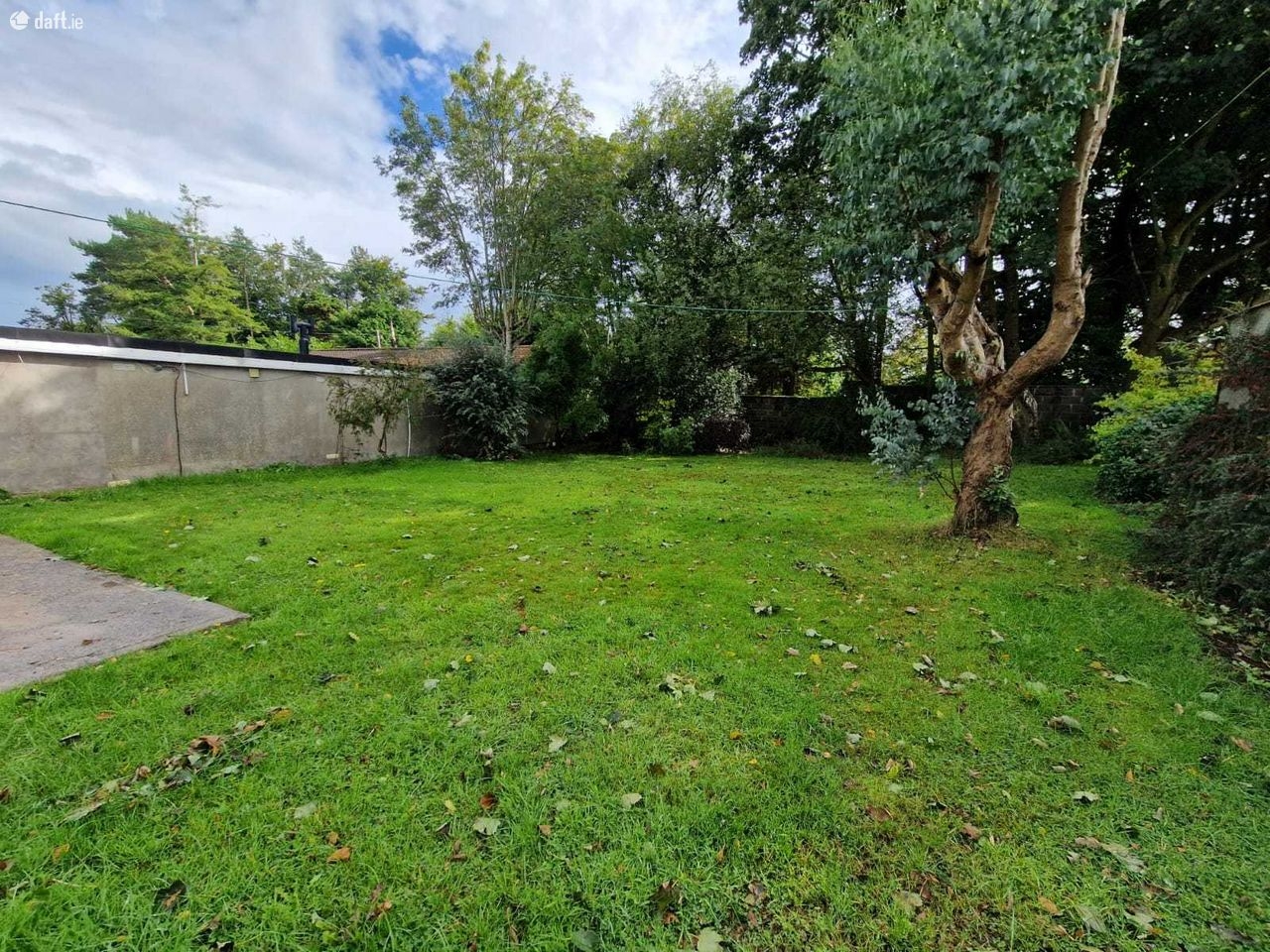 Jeremy Murphy 8A Iona Road, Mayfield